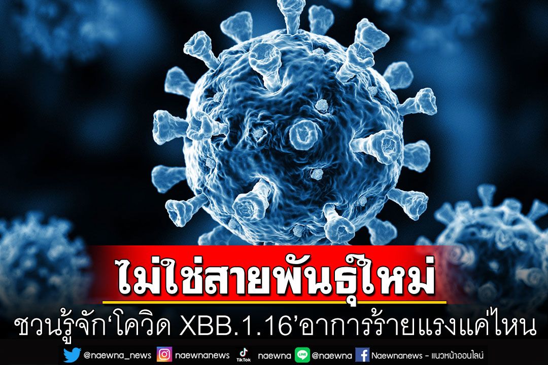 ชวนรู้จัก'โควิด XBB.1.16'ไม่ใช่สายพันธุ์ใหม่ 'WHO'จัดอยู่ในหมวดเฝ้าระวัง