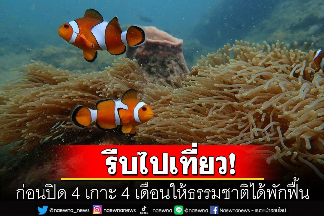 รีบเที่ยว! 'เกาะกระดาน'ชายหาดที่ดีที่สุดในโลก ก่อนปิดให้ธรรมชาติได้ฟื้นฟู 4 เดือน