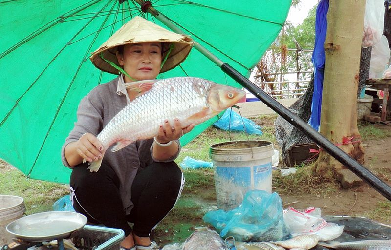 รายงานพิเศษ : ปักหมุดแผงขายปลาแม่น้ำโขงสดๆ แถมผักปลอดสารพิษ 100%   ลูกค้าตรึมเชื่อมั่นคุณภาพสดใหม่ ลูกแม่น้ำโขงเผยสัตว์น้ำบางชนิดหายไป