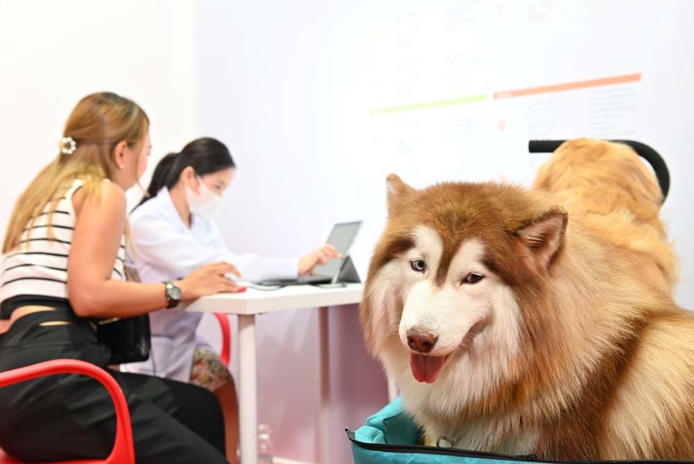 โรยัล คานิน เดินหน้าสร้างโลกที่ดีขึ้นสำหรับน้องแมวน้องหมา จัดกิจกรรมน่ารู้มอบความรักผ่านโภชนาการในงาน Pet Expo Thailand 2023