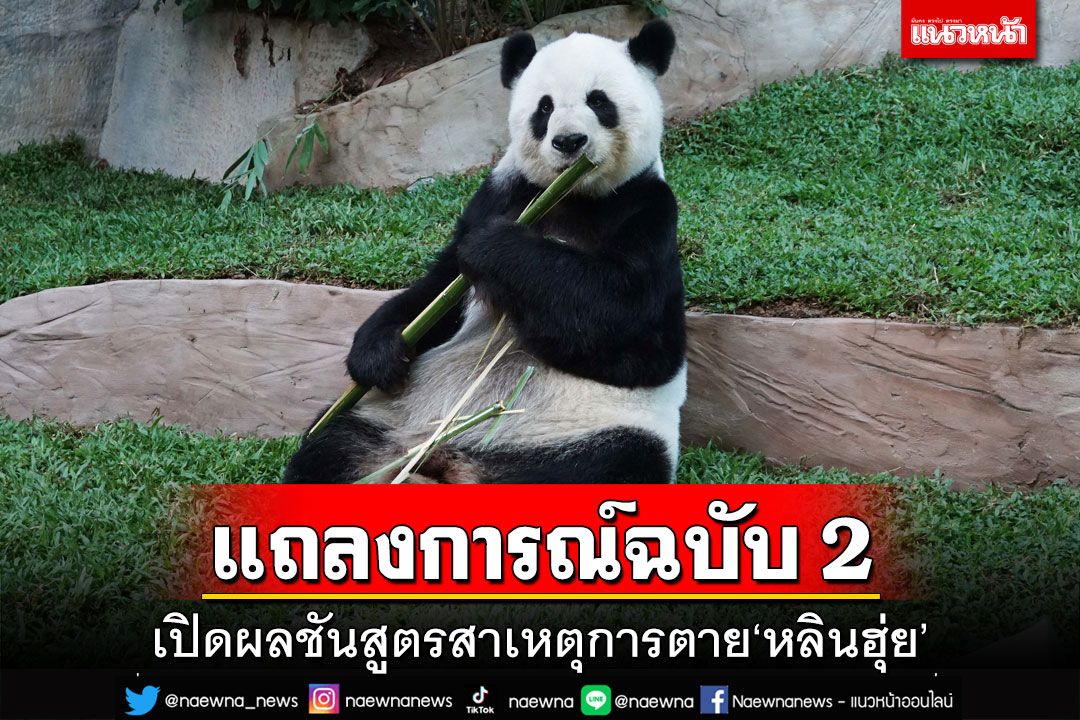 สวนสัตว์เชียงใหม่ออกแถลงการณ์ฉบับ 2 เปิดผลชันสูตรสาเหตุการตาย‘หลินฮุ่ย’