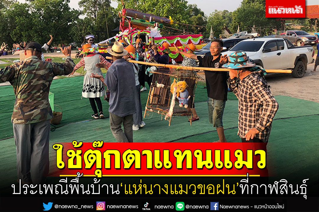 ประเพณีพื้นบ้าน! แห่นางแมวขอฝน ที่กาฬสินธุ์