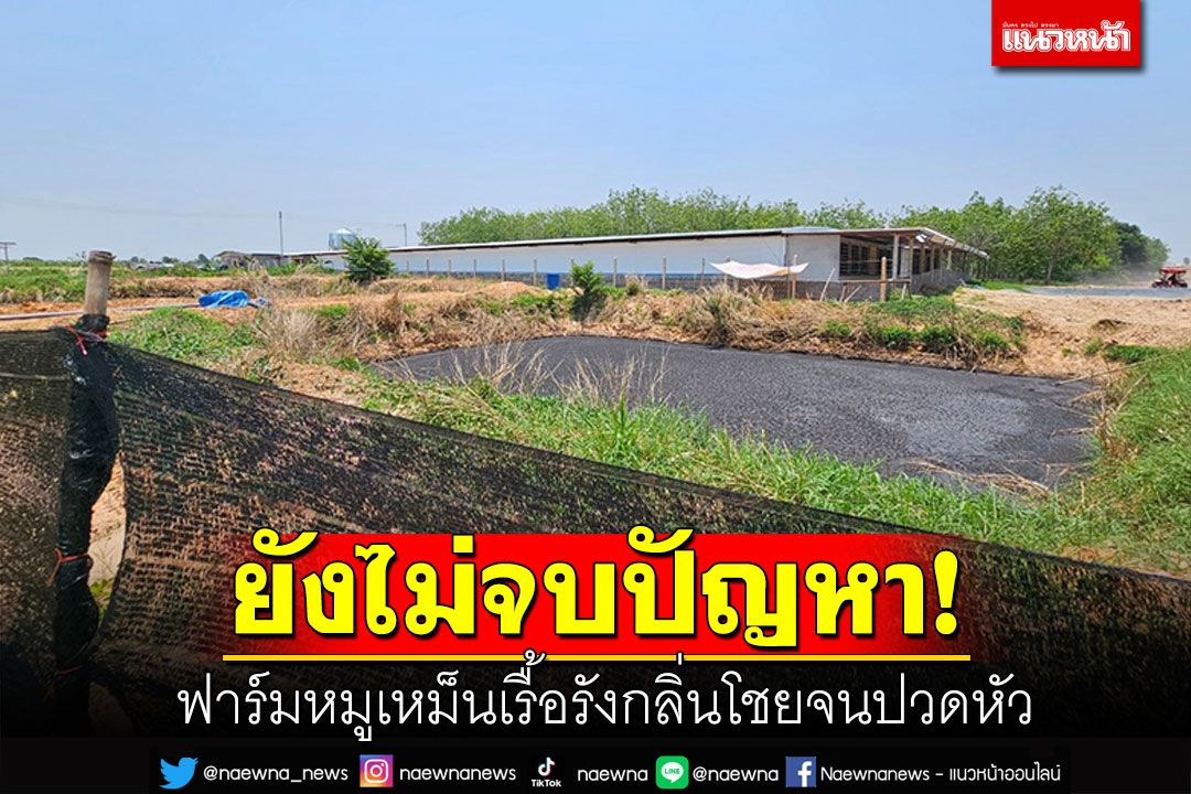 ยังไม่จบปัญหา! ฟาร์มหมูเหม็นเรื้อรัง กลิ่นโชยจนปวดหัว