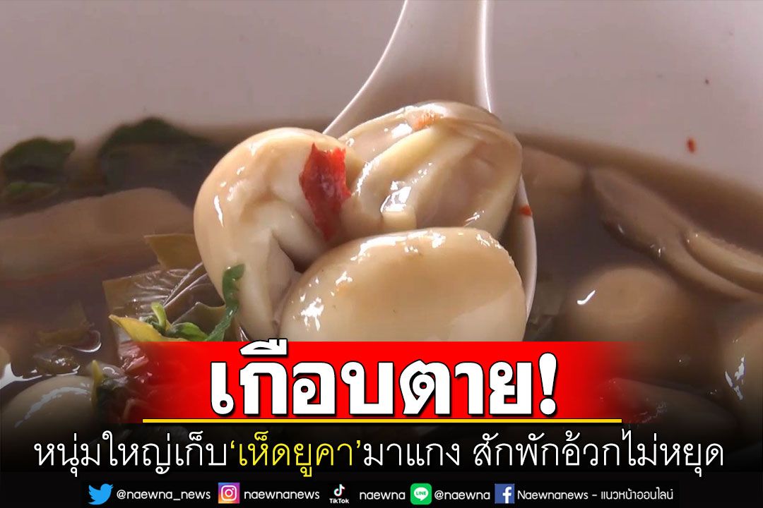 หวิดดับ! หนุ่มใหญ่เก็บ'เห็ดยูคา'มาแกงกิน ผ่าน2ชั่วโมงอาเจียนไม่หยุด-ตาพร่า-ไม่มีแรง