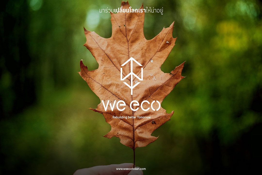 ใบไม้ในป่า ‘ไม่เผาเราซื้อ’ สุดยอดแคมเปญจาก วี อีโค ที่ชวนทุกคนร่วมเป็นฮีโร่ลดโลกร้อน