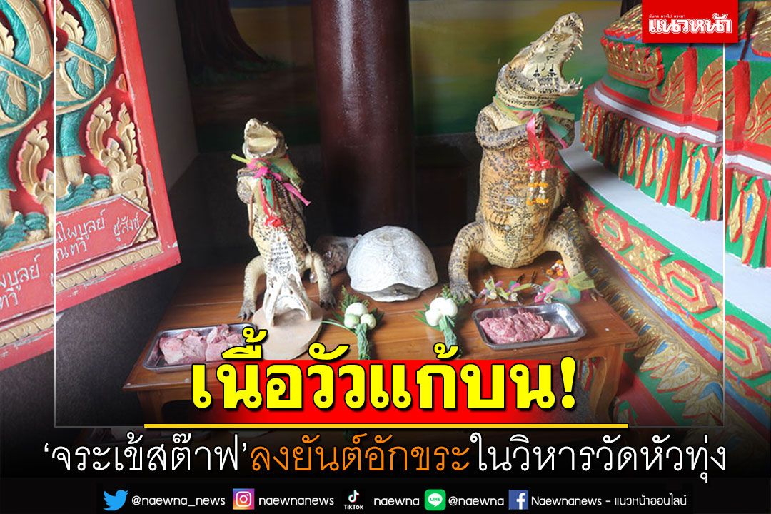 เนื้อวัวแก้บน! 'จระเข้สต๊าฟ'ยันต์อักขระ อยู่ในวิหาร'วัดหัวทุ่ง'อ่างทอง
