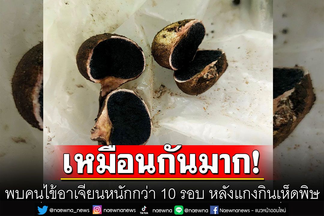 เช็กให้ดีก่อนกิน! พบคนไข้อาเจียนหนักกว่า 10 รอบ หลังแกงกินเห็ดพิษ