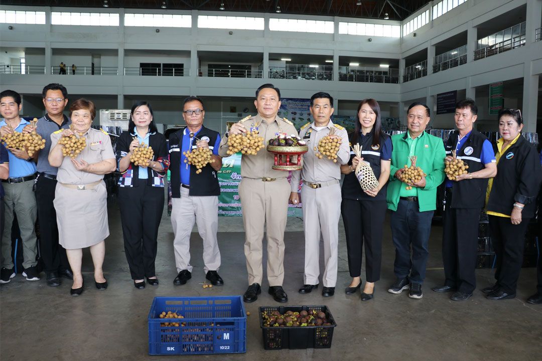 ผู้ว่าฯเชียงใหม่รับ‘มังคุดระนอง’กว่า 7,000 กก. ช่วยเกษตรกรชาวใต้