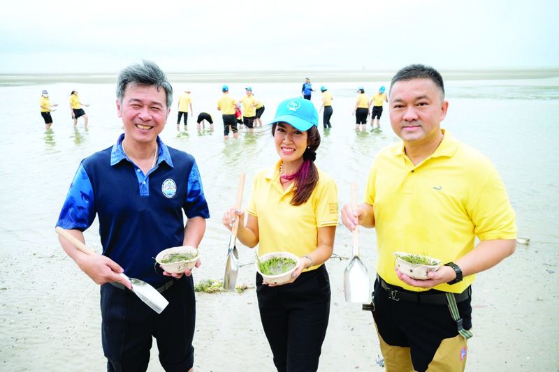 ‘S&P ฟื้นฟูระบบนิเวศ คืนคุณค่าสู่ท้องทะเล’  ชวนพนักงานจิตอาสาปลูกหญ้าทะเล เสริมความสมบูรณ์ระบบนิเวศ