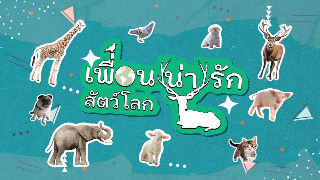 ช่อง 7HD เปิดสวนสัตว์ผ่านหน้าจอ คว้า'จีน-เฌอตินท์นารา'พิธีกร'เพื่อน(น่า)รักสัตว์โลก'