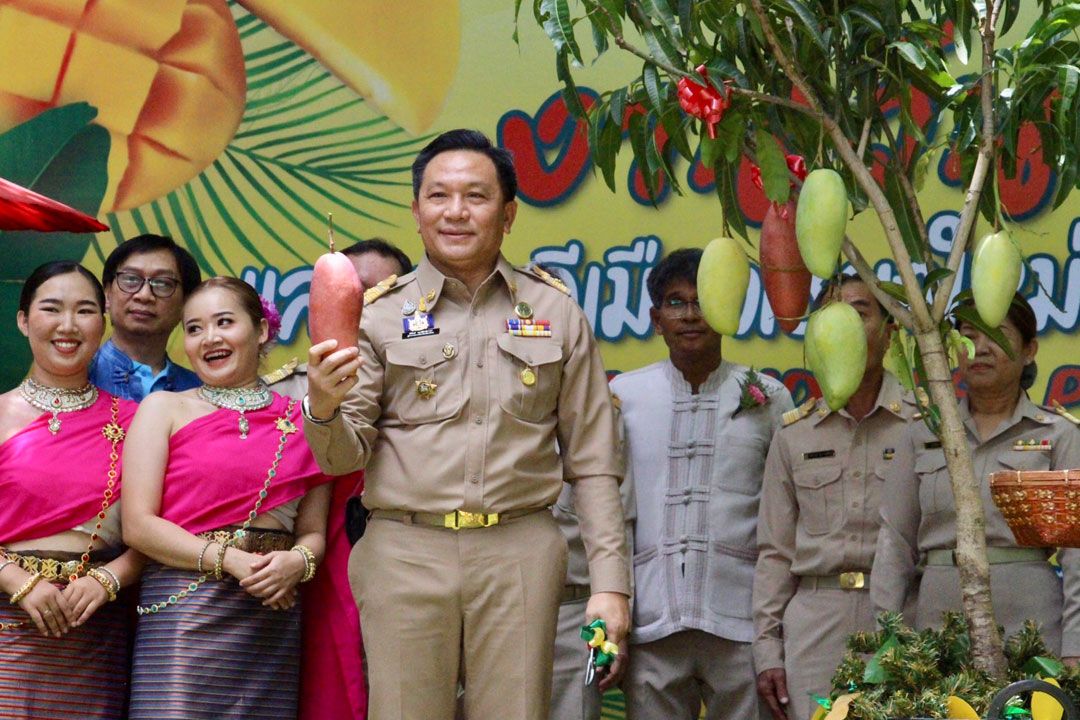 ‘เชียงใหม่’จัดงานวันมะม่วง-ของดี ยกมะม่วงมาจำหน่ายถึงมือผู้บริโภค