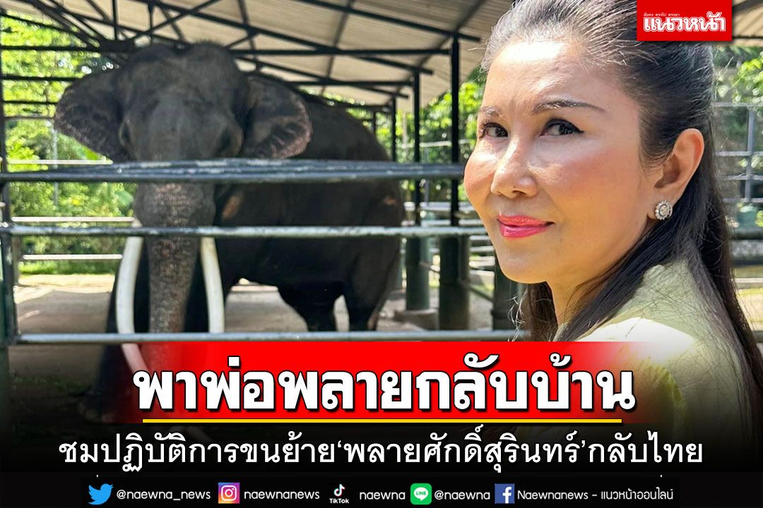 ชมไลฟ์สดปฏิบัติการพาพ่อพลายกลับบ้าน ขนย้าย‘พลายศักดิ์สุรินทร์’กลับไทย