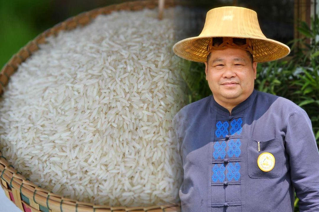 กรมข้าว แจ้งชาวนาขึ้นทะเบียนเกษตรกร เป็นขั้นตอนในการเข้าร่วมโครงการเปลี่ยนเมล็ดพันธุ์ฯ