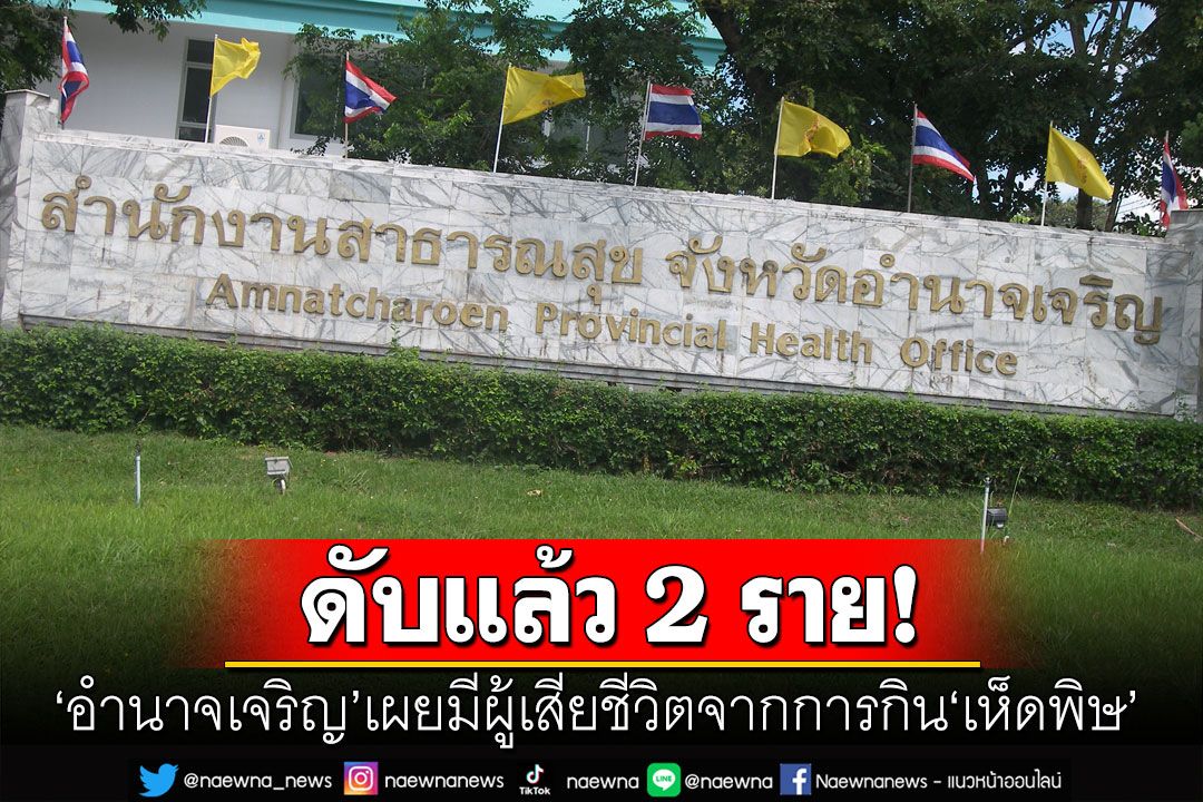 'อำนาจเจริญ'เผยมีผู้เสียชีวิตจากการกิน'เห็ดพิษ'แล้ว 2 ราย แนะวิธีปฐมพยาบาลเบื้องต้น