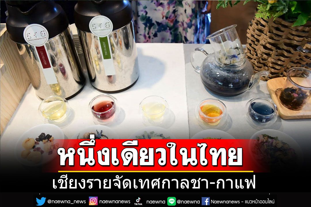 เชียงรายจัดเทศกาลชา-กาแฟหนึ่งเดียวในไทย พบกลุ่ม SIG พิการสายตา ชงชาสมุนไพรวันละรสชาติ