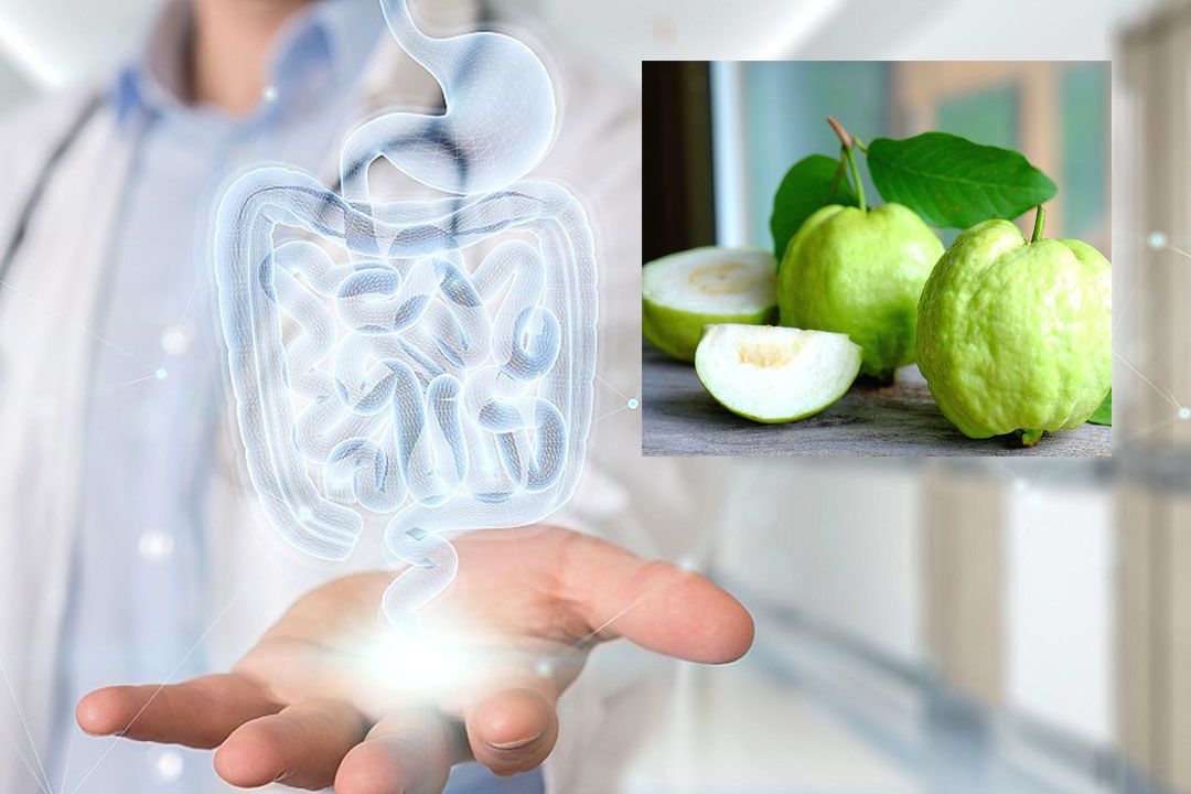 สุขภาพที่ดีจากภายในสู่ภายนอก เริ่มต้นจาก‘ลำไส้’