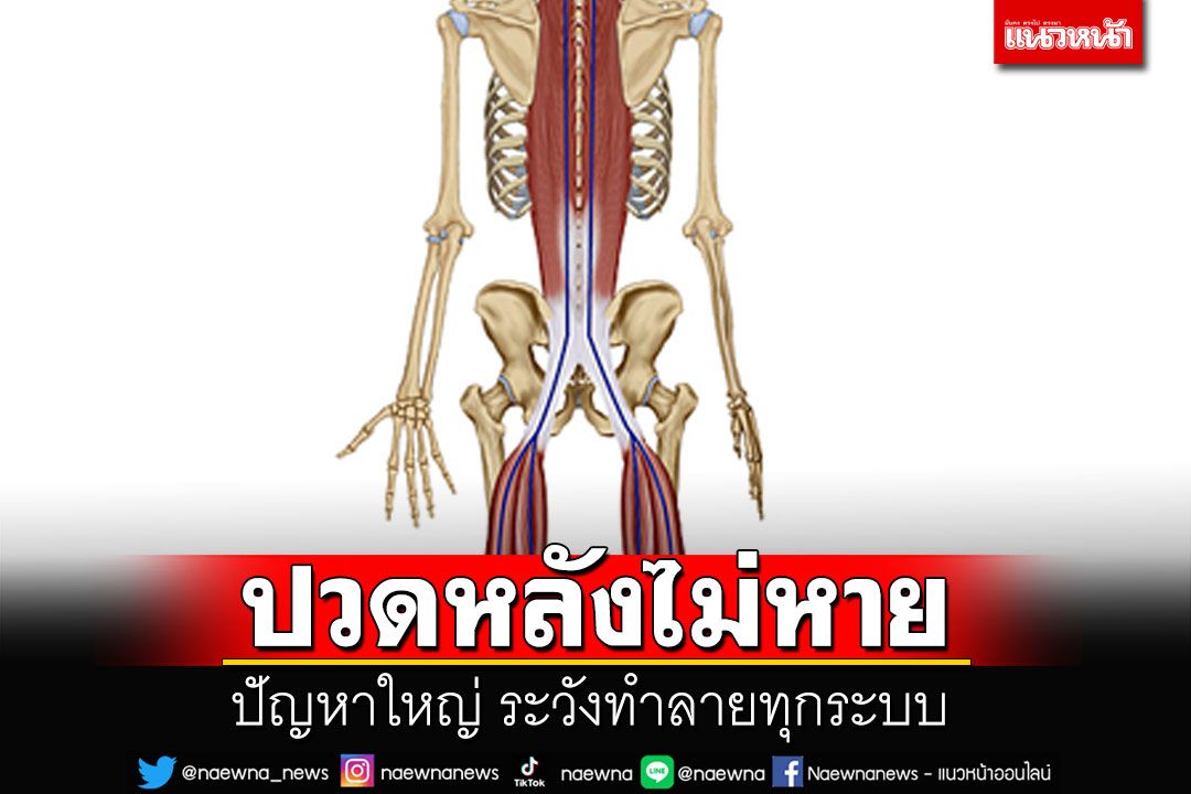 ระวัง !! ปวดหลังไม่หายทำลายทุกระบบ