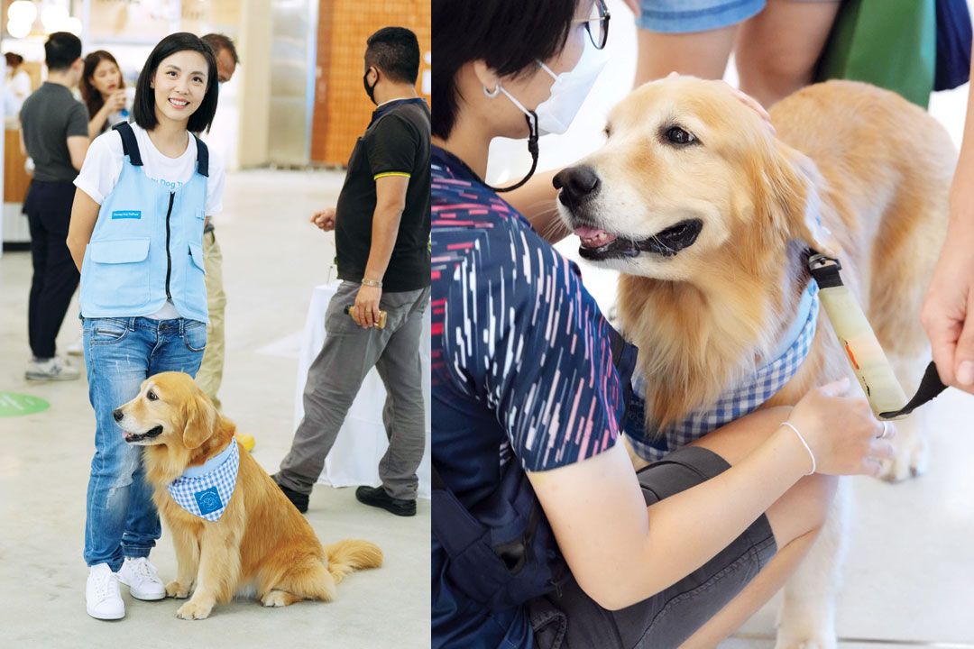 เปิดตัว ‘ทีมสุนัขนักบำบัดฯ’ ร่วมสร้างสุขภาวะที่ดีให้คนในสังคม