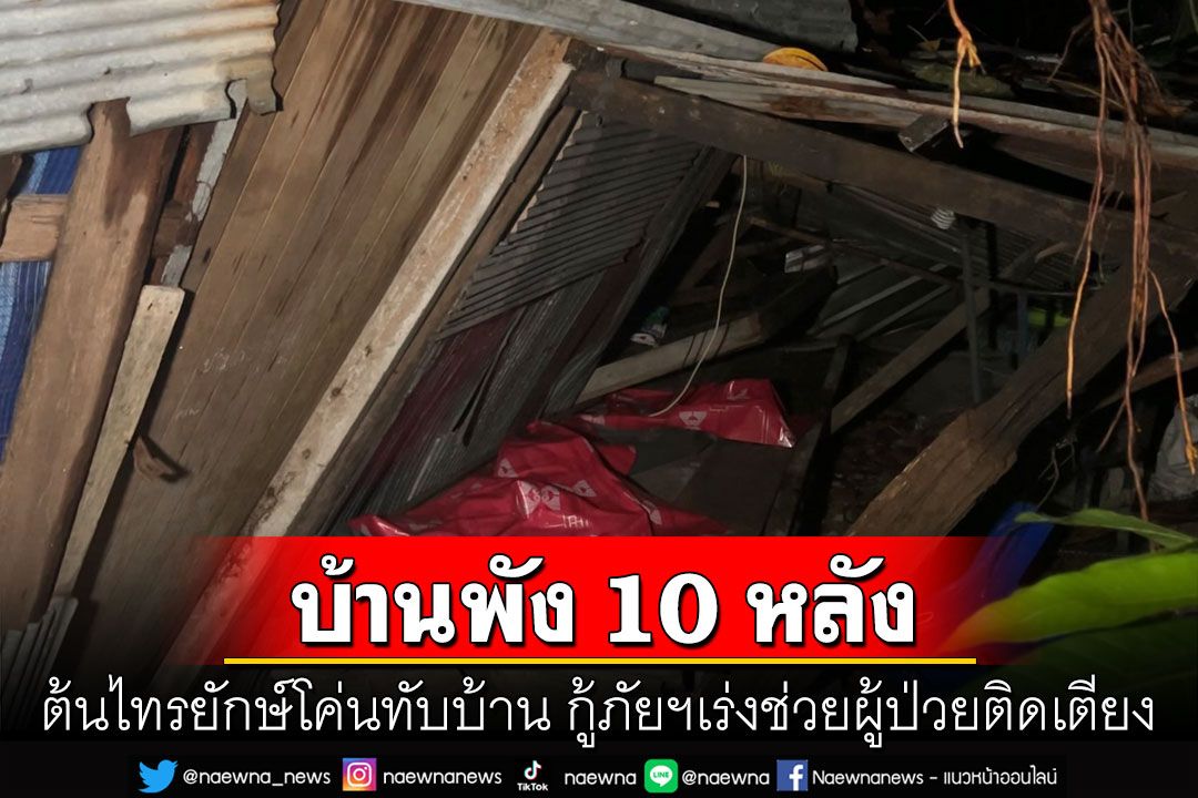 'ตรัง'ฝนถล่ม! ต้นไทร100ปีถอนรากล้มทับบ้านปชช.พัง10หลัง กู้ภัยฯบุกช่วยผู้ป่วยติดเตียง