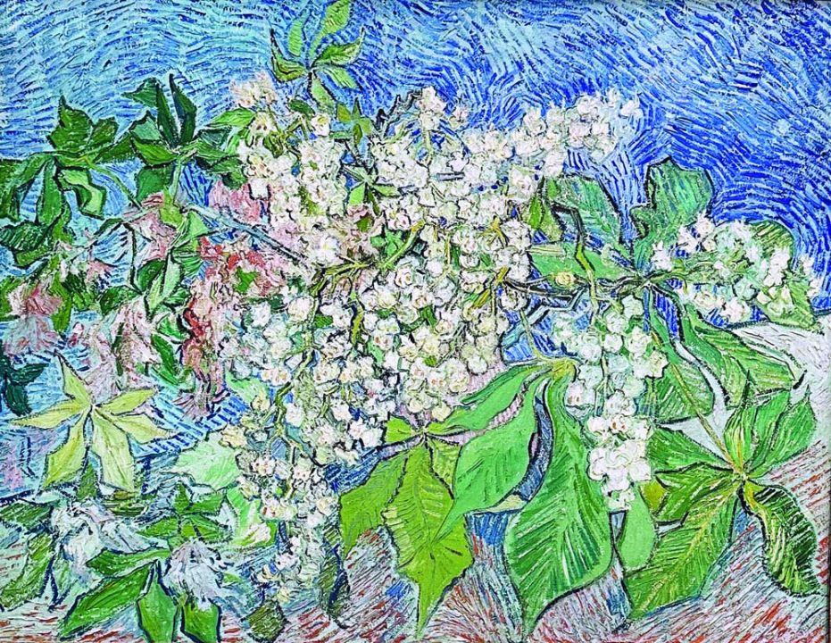แหวกฟ้าหาฝัน : Van Gogh in Kunsthaus Zurich 3