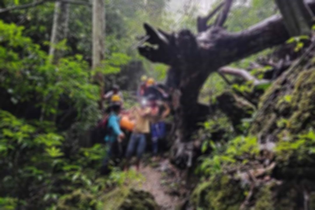 สลด!ชายวัย55ปี ปีนเก็บลูกสะตอบนภูเขา พลาดตกเสียชีวิต