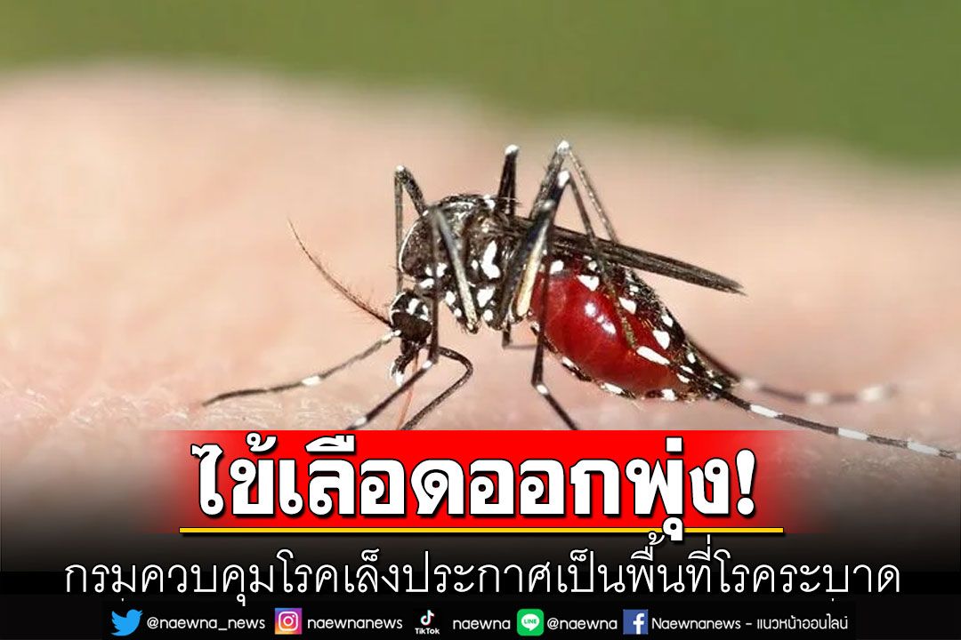 ยอดผู้ป่วยไข้เลือดออกพุ่ง 18 จังหวัด เล็งประกาศเป็นพื้นที่โรคระบาด