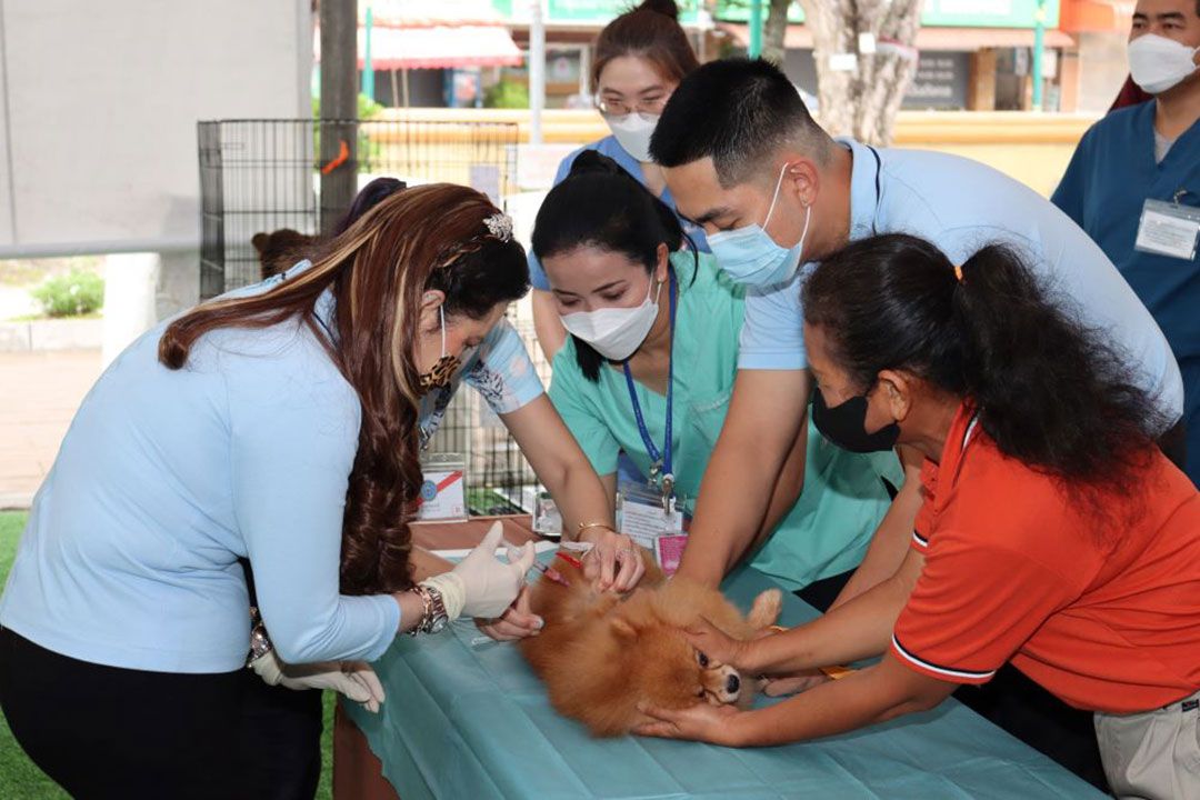 กรมพระศรีสวางควัฒนฯ ทรงออกหน่วยสัตวแพทย์อาสาจุฬาภรณ์ จ.นครศรีธรรมราช