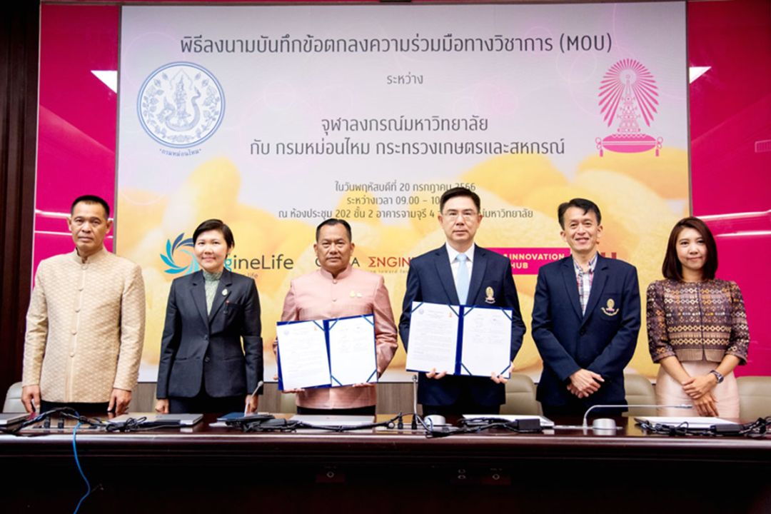 จุฬาฯ-กรมหม่อนไหมร่วมวิจัย  เลี้ยงหนอนไหมเป็นวัสดุทางการแพทย์