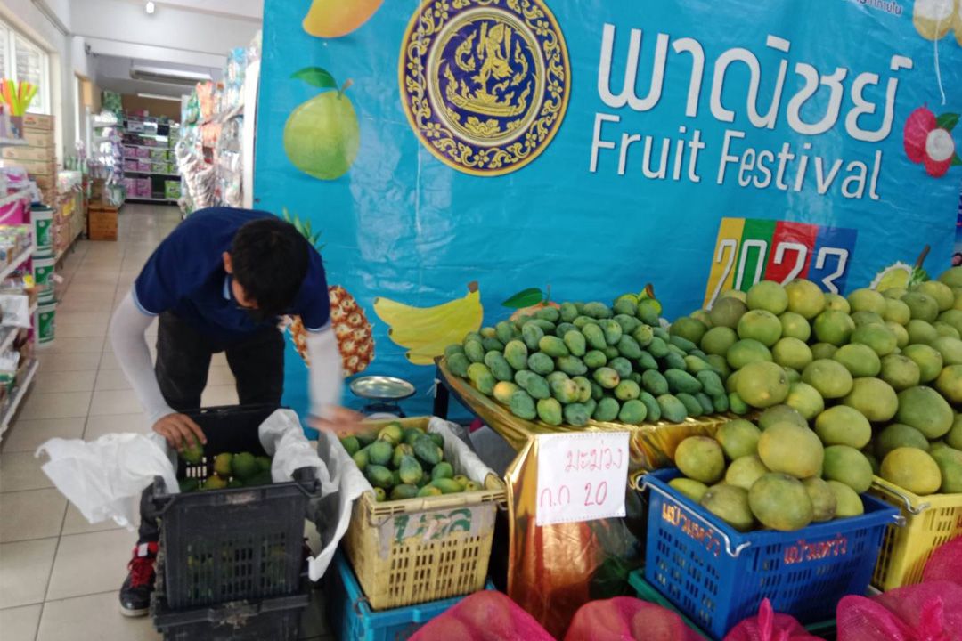เกษตรกรยิ้ม! พาณิชย์ผนึกกำลังห้างท้องถิ่น ช่วยชาวสวนส้มโอเชียงราย-มะม่วงเขียวมรกตลำพูน