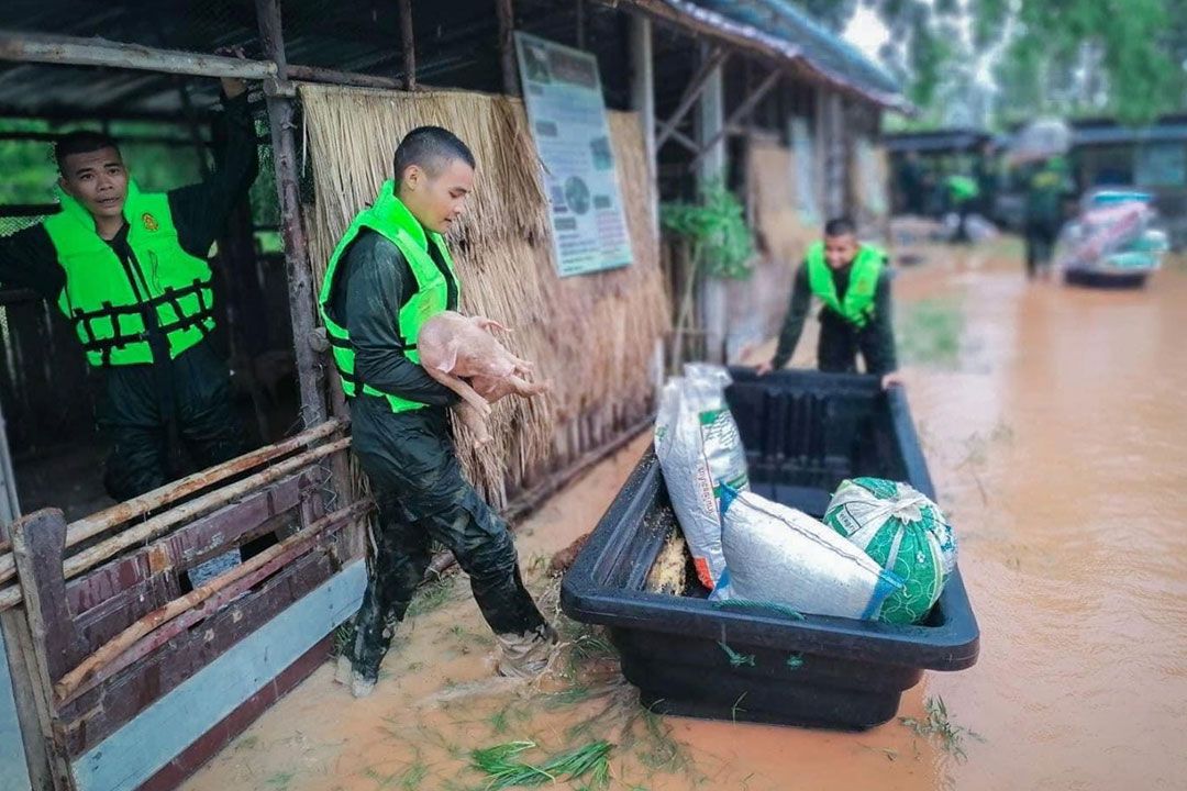 ทหารลุยอุ้มหมูชาวบ้านหนีน้ำท่วมนครพนม เร่งวางสะพานแบริ่งแก้ปัญหาน้ำกัดเซาะถนนพัง