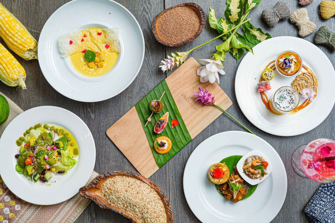 เริ่มแล้วงาน‘โครงการหลวง 54’สัมผัส‘ไออุ่นจากขุนเขา เรื่องเล่าสู่ใจกลางเมือง’