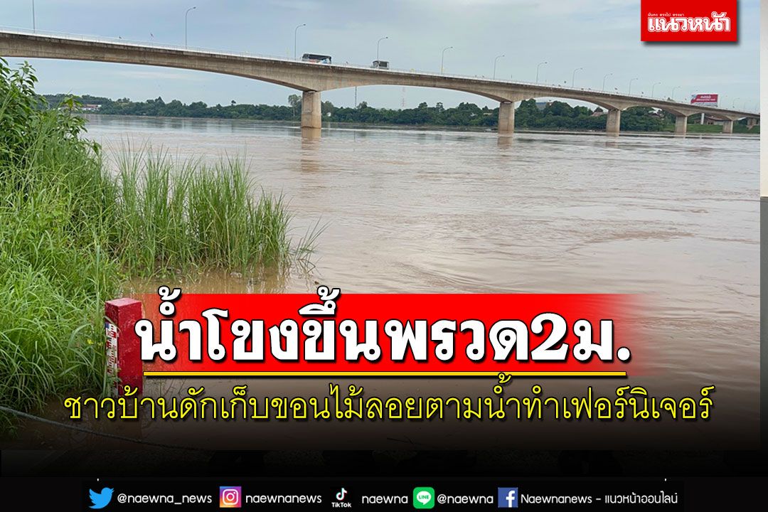 น้ำโขงสูงขึ้นเกือบ 2 เมตร ชาวบ้านดักเก็บเศษไม้ขอนไม้ลอยตามน้ำทำฟืน-เฟอร์นิเจอร์