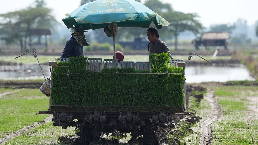 กสส.โชว์ความสำเร็จต้นแบบสหกรณ์แม่ข่ายใช้อุปกรณ์การตลาดพัฒนาศักยภาพการรวบรวมแปรรูปผลผลิต