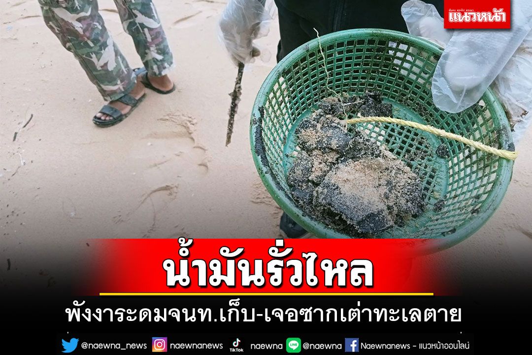 'พังงา'ระดมพลจนท.เก็บก้อนน้ำมันรั่วไหล เจอซากเต่าทะเลตายริมหาด