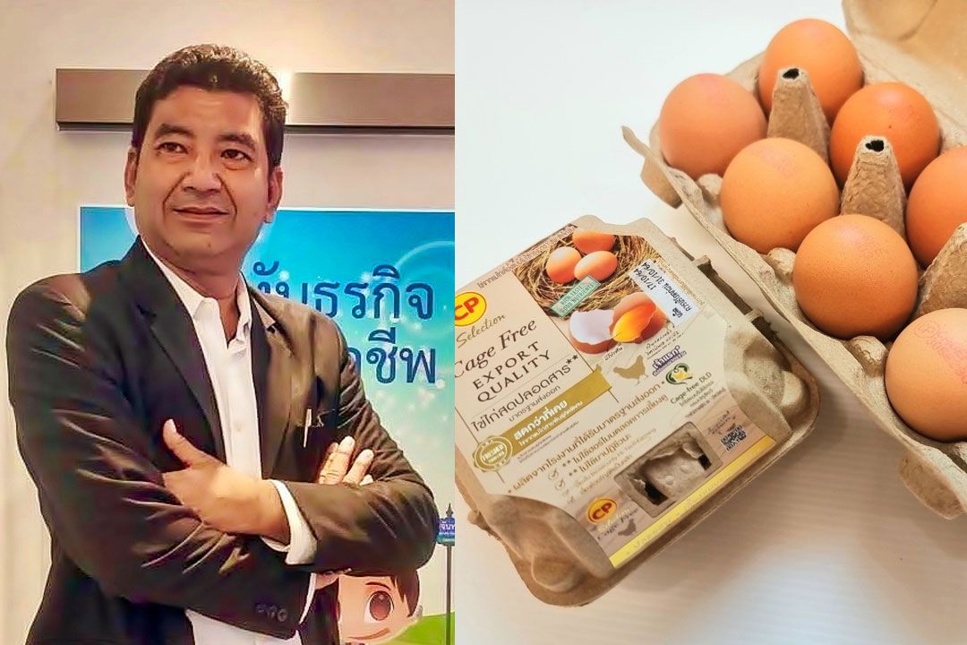 ‘ซีพีเอฟ’คัดสรรไข่ไก่ Cage Free มาตรฐานระดับสากลเพื่อสุขภาพที่ดีของผู้บริโภค