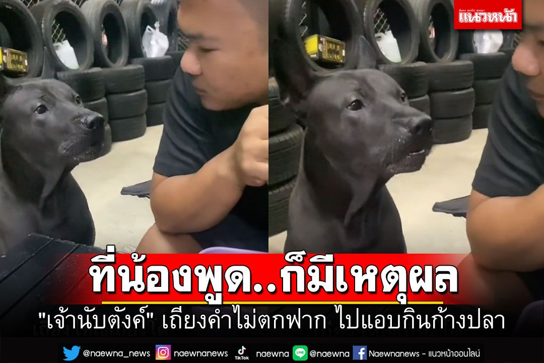 'เจ้านับตังค์'ขออธิบายบ้าง ไปแอบกินก้างปลา จนโดนพ่อดุ (คลิป)