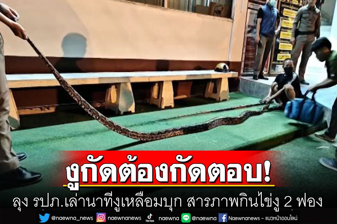 ลุง รปภ. งูกัดต้องกัดตอบ! เล่านาทีงูเหลือมบุก สารภาพกินไข่งู 2 ฟอง อดีตเคยเลี้ยงงูจงอาง!