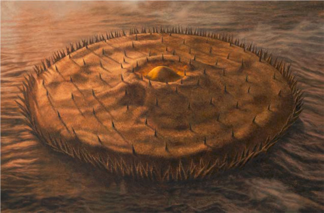 ‘Your Green is Mine’นิทรรศการเดี่ยวของ‘พชร ปิยะทรงสุทธิ์’