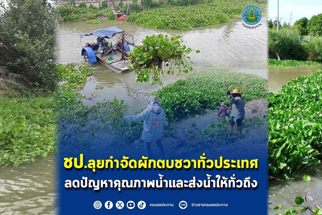 ชป.ลุยกำจัดผักตบชวาทั่วประเทศ ลดปัญหาคุณภาพน้ำและส่งน้ำให้ทั่วถึง