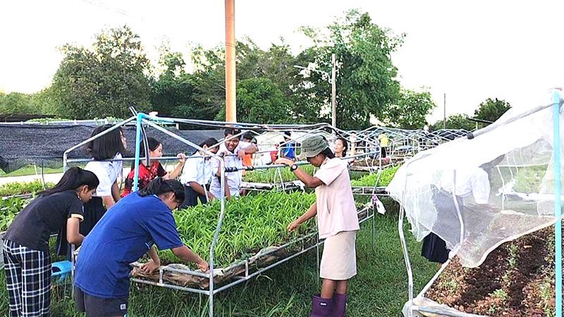 นร.ยุวเกษตรกร รร.เกาะแต้วฯ  ทำแปลงเกษตรเพื่อสร้างรายได้