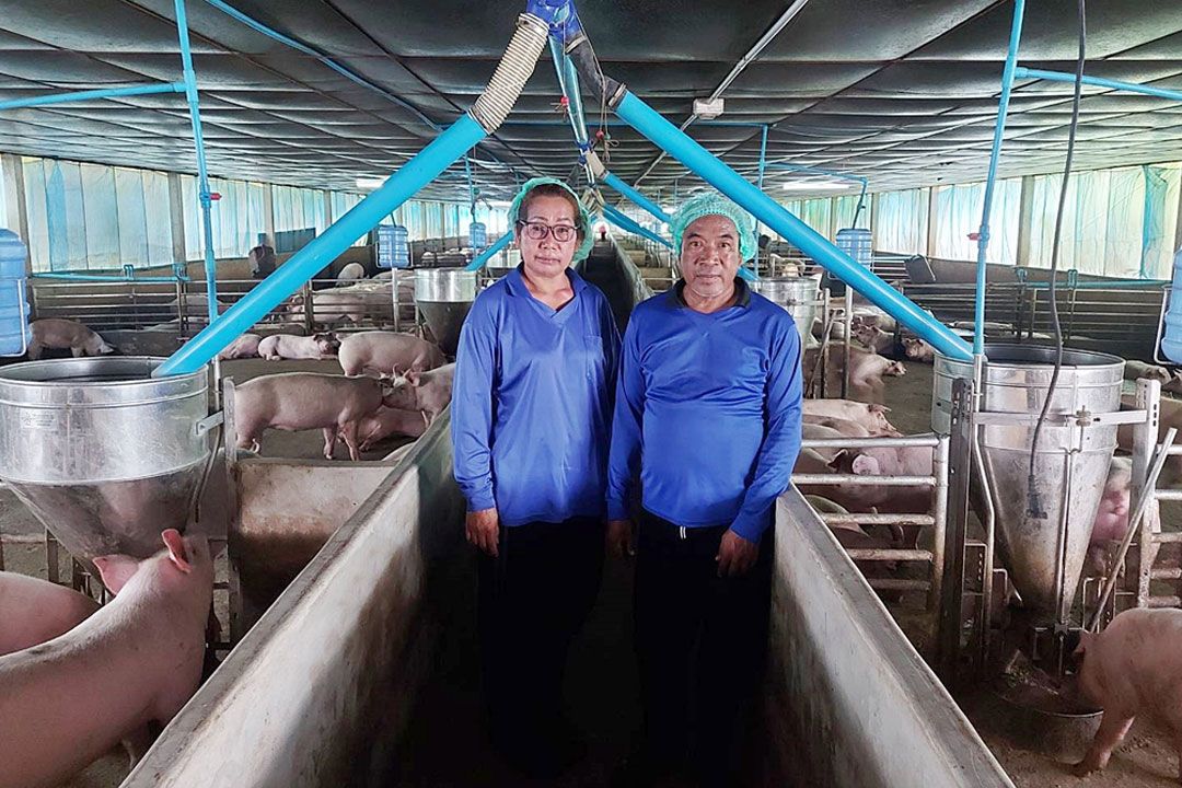 ‘บุญเกิดฟาร์ม’บทพิสูจน์คอนแทรคฟาร์มเลี้ยงหมูพลิกชีวิต ซีพีเอฟส่งเสริมเกษตรยั่งยืน