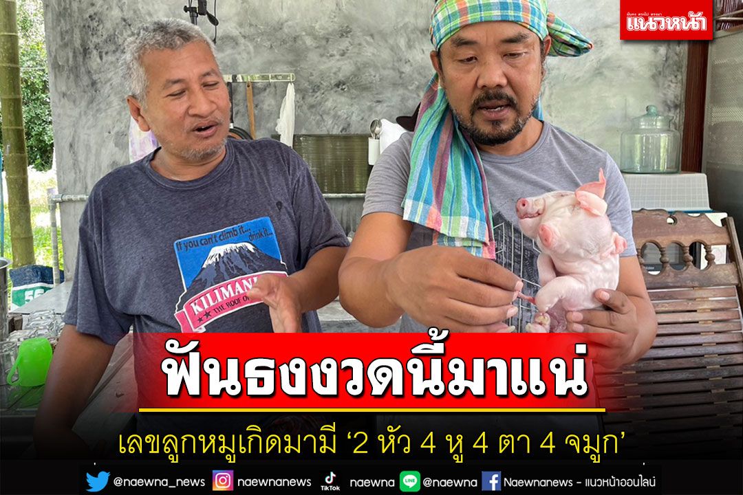 งวดนี้ต้องมีทีเด็ด! พบลูกหมูเกิดมามี 2 หัว 4 หู 4 ตา 4 จมูก เจ้าของเชื่อมาให้โชค