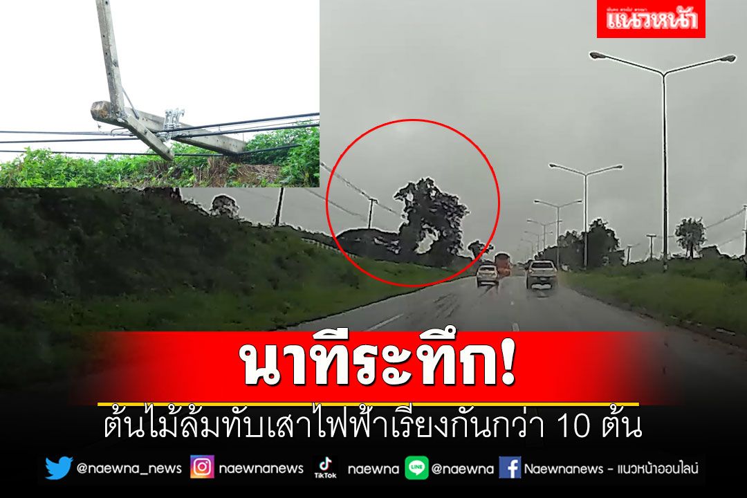 นาทีระทึก! ต้นไม้ล้มทับเสาไฟฟ้าเรียงกันกว่า 10 ต้น