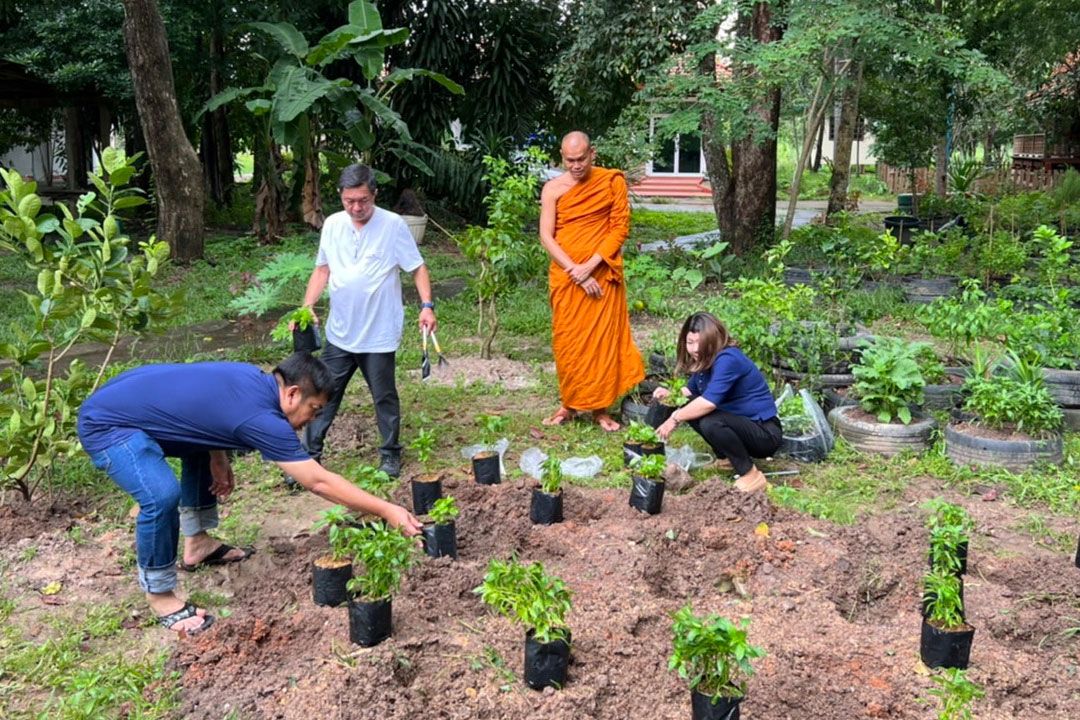 ‘วัดโพนงาม’ปลูกผักสวนครัว สร้างความมั่นคงทางอาหาร