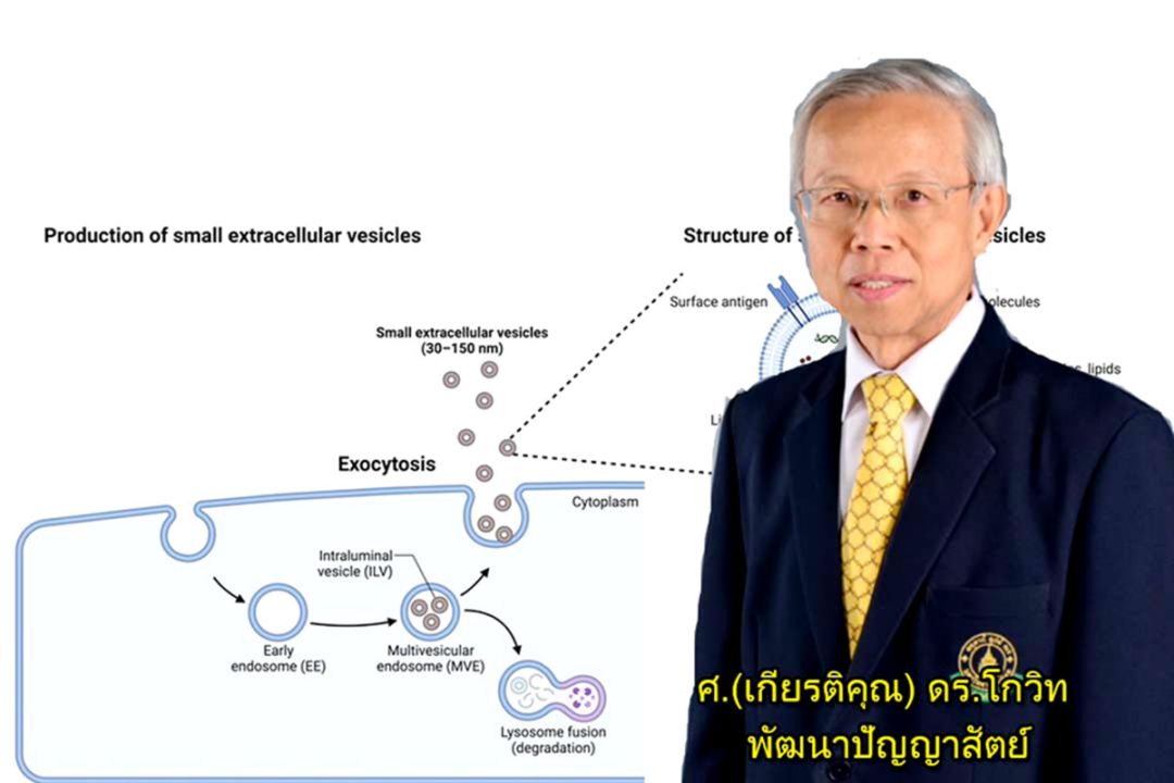 ‘ม.มหิดล’ต่อยอดรักษาตรงจุด  ‘โรคทางระบบประสาท หัวใจและหลอดเลือด’