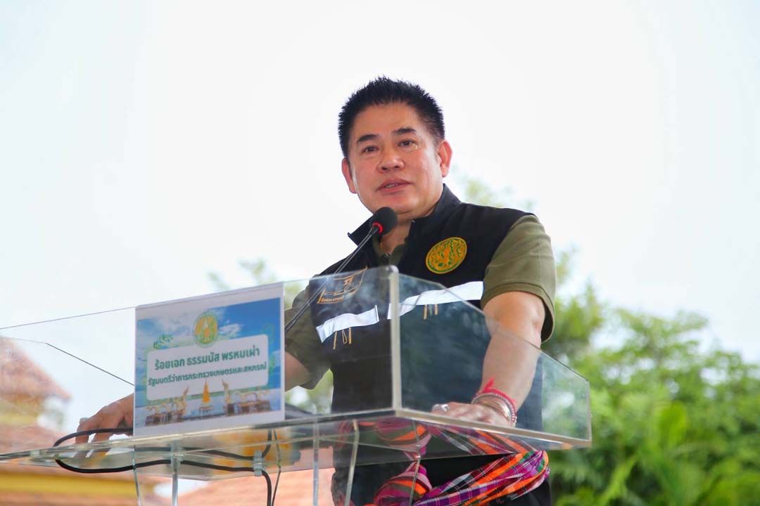 'รมว.เกษตรฯ'สั่ง'กรมปศุสัตว์'เตรียมพร้อมฝังทำลายหมูเถื่อน 161 ตู้คอนเทนเนอร์