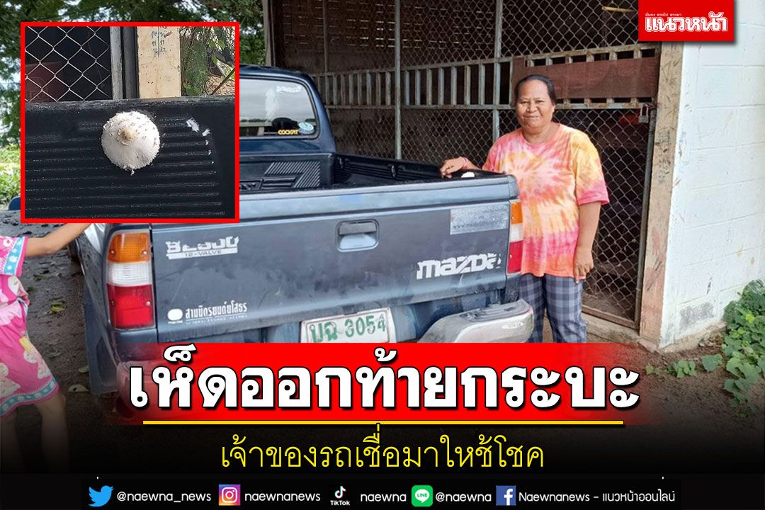เห็ดประหลาดออกดอกท้ายกระบะรถเจ้าของเชื่อนำโชคมาให้