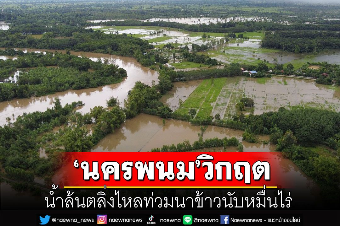 'นครพนม'อ่วม! ลำน้ำบัง-ลำน้ำก่ำล้นตลิ่งไหลท่วมนาข้าวนับหมื่นไร่ ชลประทานเร่งระบายลงน้ำโขง