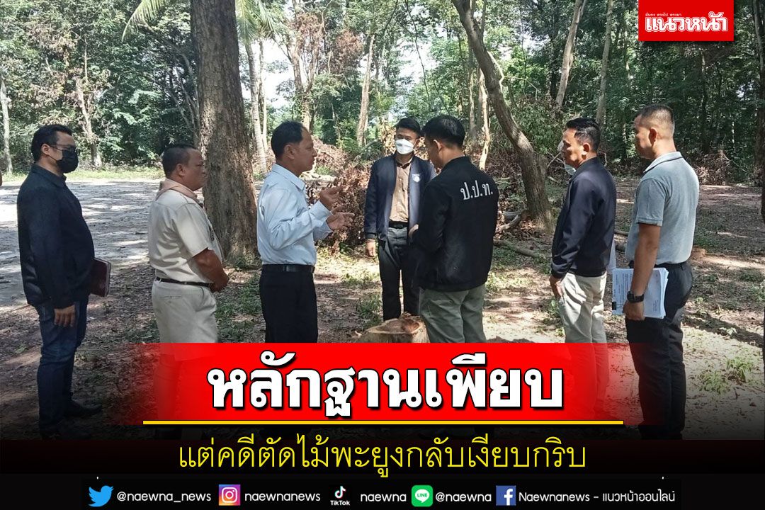 แฉคดีตัดต้นพะยูงโรงเรียนหลักฐานเพียบ แต่เงียบกริบ ปชช.กาฬสินธุ์แถลงพรุ่งนี้