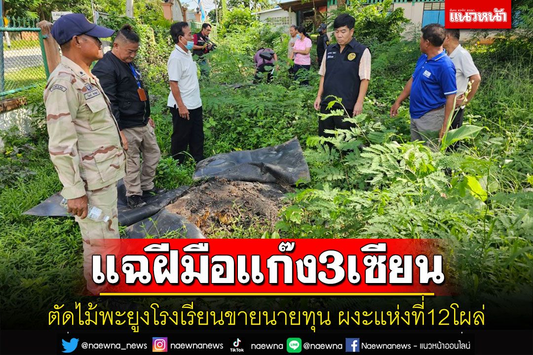 ผงะตัดไม้พะยูงโรงเรียนแห่งที่ 12 ขายนายทุน ชาวบ้านแฉฝีมือแก๊งมอดไม้ 3 เซียน